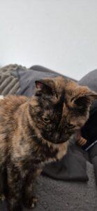 PHOTO-2025-05-29-08-56-16