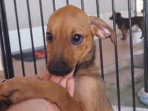 07-25_Garibaldi_pic_1