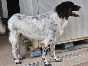 08-25_Boris1b