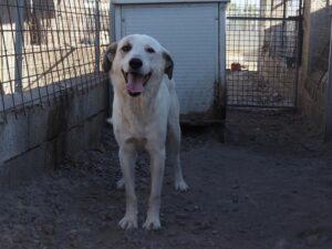 07-25_Fred_1