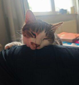 Alex_0426_3