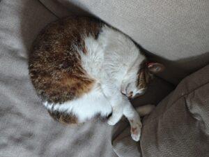 Alex_0426_5