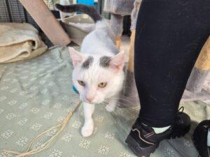 PHOTO-2025-10-03-17-38-09