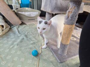 PHOTO-2025-10-03-17-38-09-D7DA436C-4308-4E80-AF2B-1901E42047B0