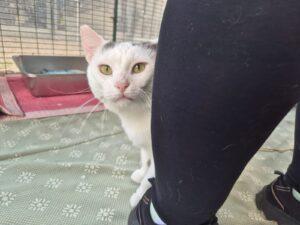 PHOTO-2025-10-03-17-38-10