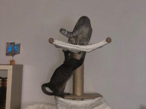 Molly und Sebastian_PS_26-09_02