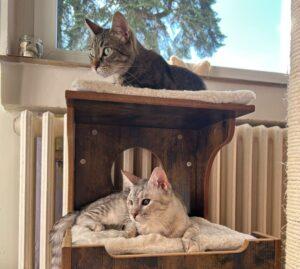 Molly und Sebastian_PS_26-09_03