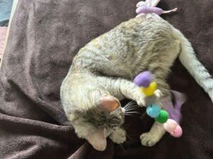 Molly_PS_05-26_1