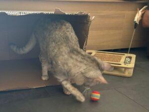 Molly_PS_05-26_3