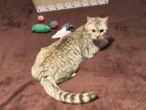 Molly_PS_05-26_4