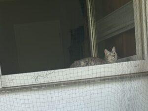 Molly_PS_05-26_5