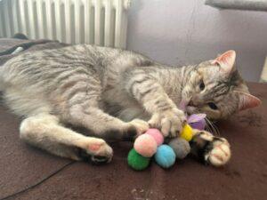Molly_PS_06-26_1