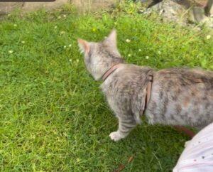Molly_PS_06-26_10