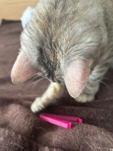 Molly_PS_06-26_11