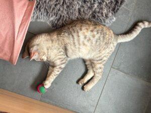 Molly_PS_06-26_3