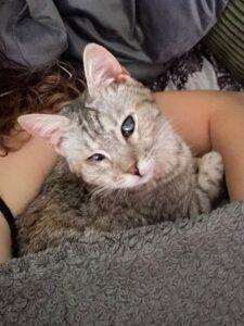 Molly_PS_06-26_5
