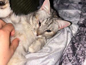 Molly_PS_06-26_6