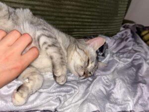 Molly_PS_06-26_7