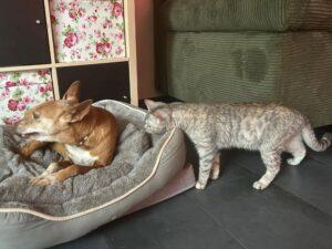 Molly_PS_06-26_8