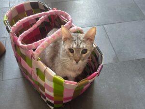 Molly_PS_26-09_02