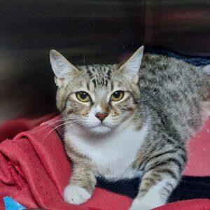 IMG-20251125-WA0019 (2)