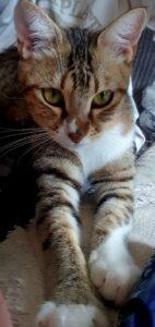 Monda_PS_26-09_05