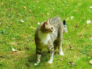 Monda_PS_26-09_06