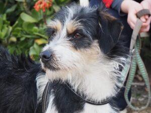 01_26_Nemo_3