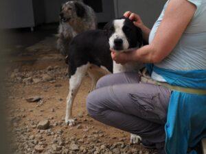 26-04 Milla5