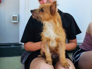 26-08 Sarina4b