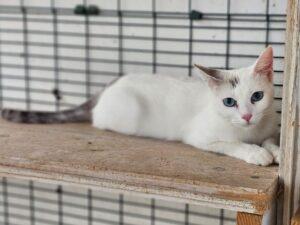 Matilda_26-09_1